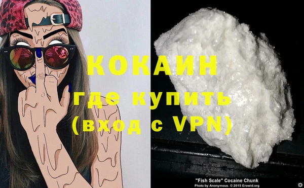 бошки Бронницы